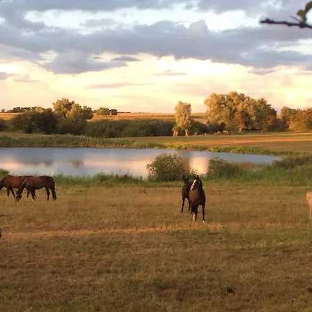 Gemuetliche, Kleine Im Kuestenland Lejlighed *