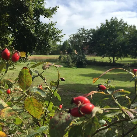 Lejlighed Gemuetliche, Kleine Im Kuestenland Murchin