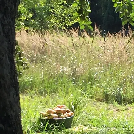 Gemuetliche, Kleine Im Kuestenland