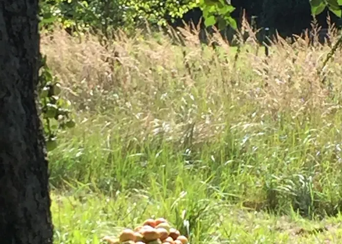 Gemuetliche, Kleine Im Kuestenland